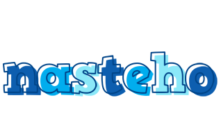 Nasteho sailor logo