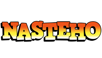 Nasteho sunset logo
