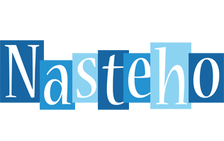 Nasteho winter logo