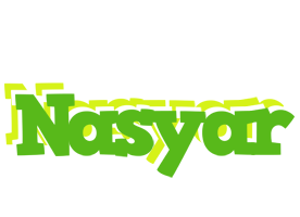 Nasyar picnic logo