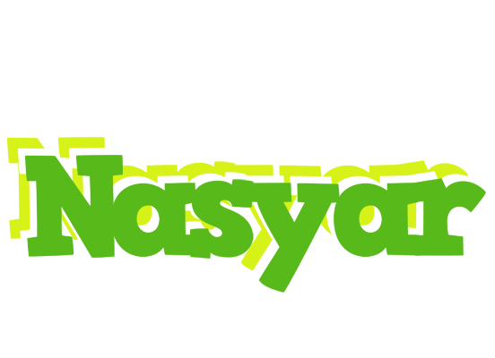 Nasyar picnic logo