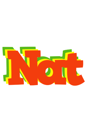 Nat bbq logo