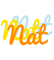 Nat energy logo