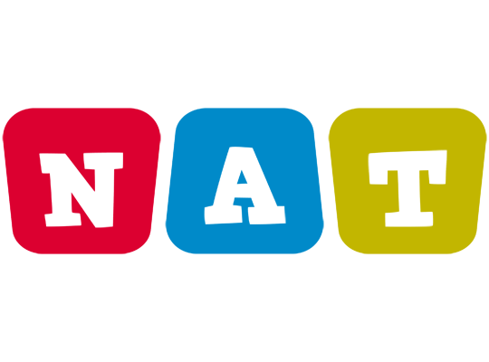 Nat kiddo logo
