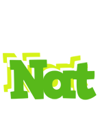 Nat picnic logo