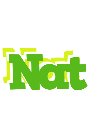 Nat picnic logo