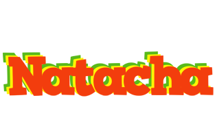 Natacha bbq logo