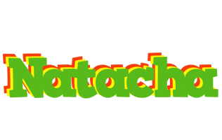 Natacha crocodile logo