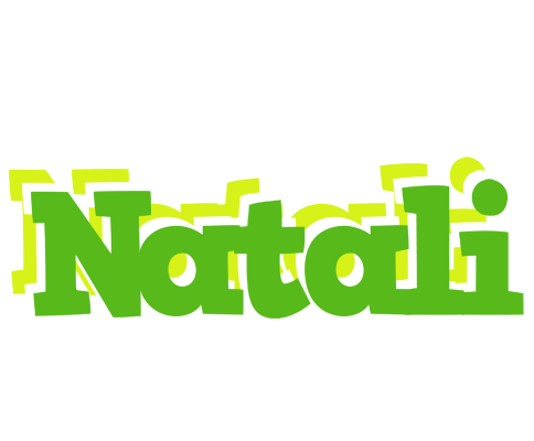 Natali picnic logo