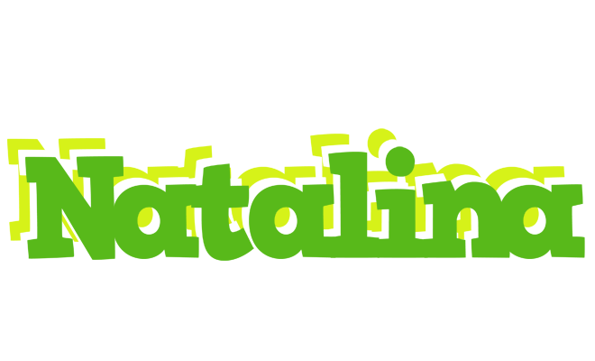 Natalina picnic logo