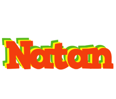 Natan bbq logo