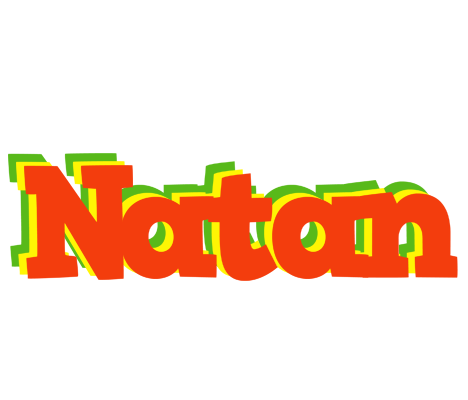 Natan bbq logo
