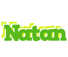 Natan picnic logo