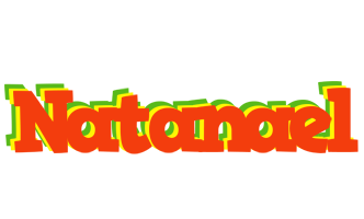 Natanael bbq logo