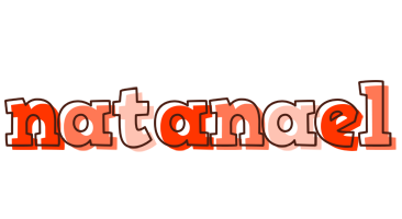 Natanael paint logo