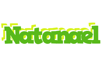 Natanael picnic logo