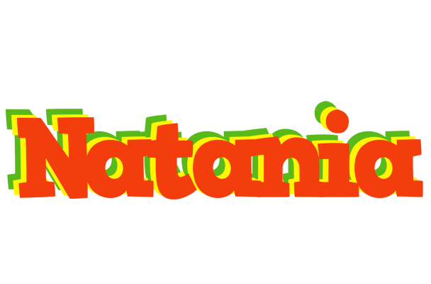 Natania bbq logo