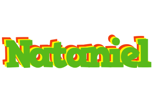 Nataniel crocodile logo