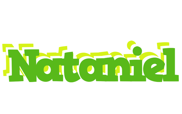 Nataniel picnic logo