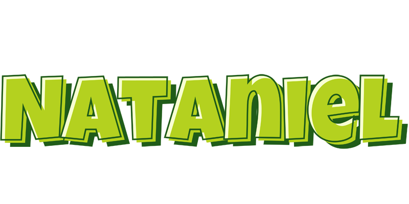 Nataniel summer logo