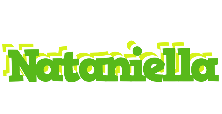 Nataniella picnic logo