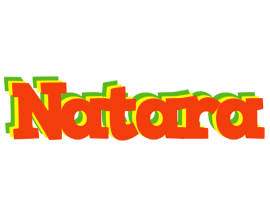 Natara bbq logo