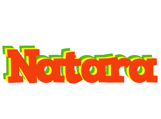Natara bbq logo