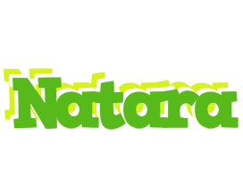 Natara picnic logo