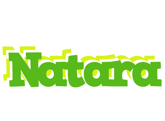 Natara picnic logo