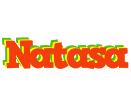 Natasa bbq logo