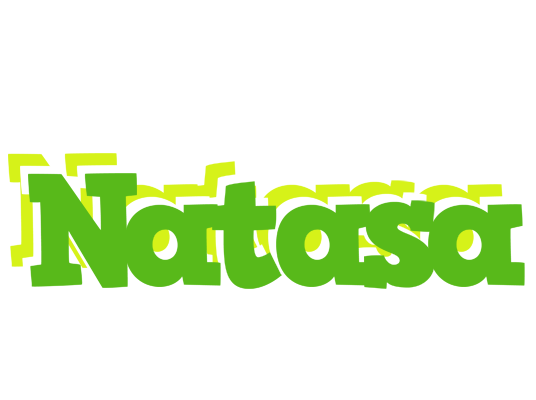 Natasa picnic logo