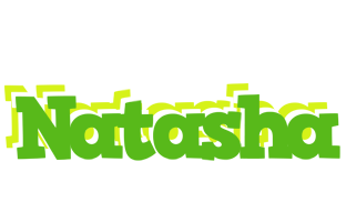 Natasha picnic logo