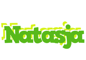 Natasja picnic logo