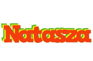 Natasza bbq logo