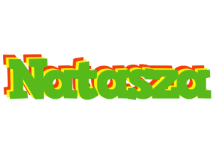 Natasza crocodile logo