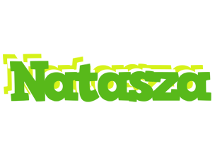 Natasza picnic logo