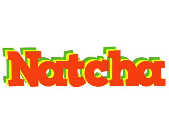 Natcha bbq logo