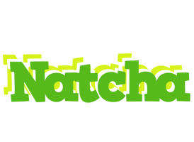 Natcha picnic logo