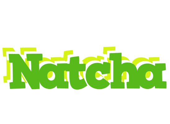 Natcha picnic logo