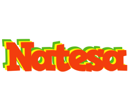 Natesa bbq logo