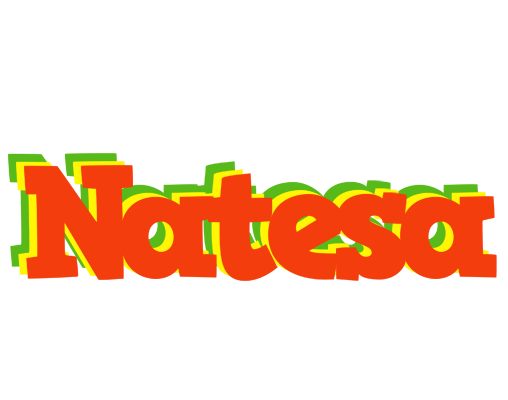 Natesa bbq logo