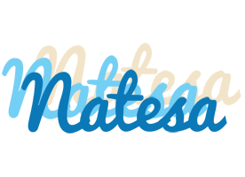 Natesa breeze logo