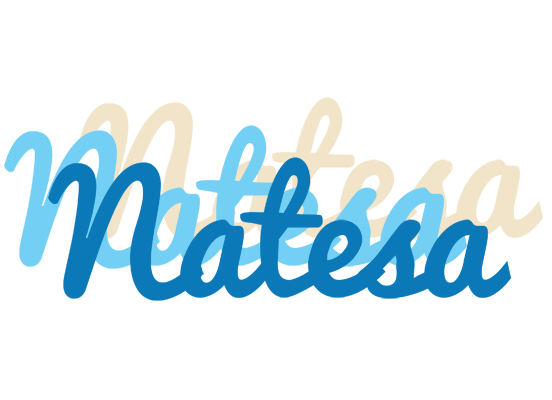 Natesa breeze logo