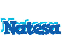 Natesa business logo