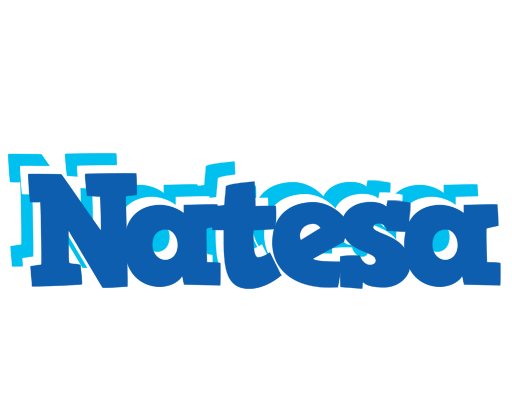 Natesa business logo
