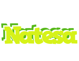 Natesa citrus logo