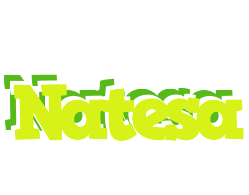 Natesa citrus logo