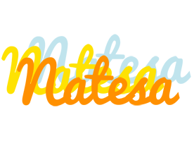 Natesa energy logo