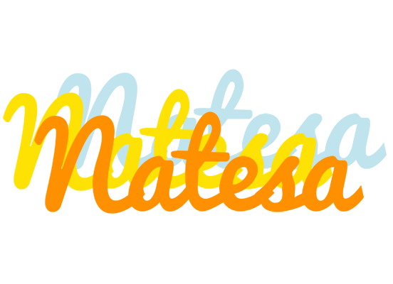 Natesa energy logo