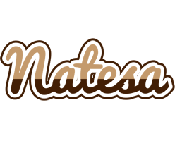 Natesa exclusive logo